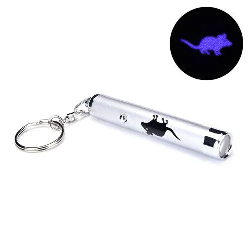 LED Cat Pointer Toy