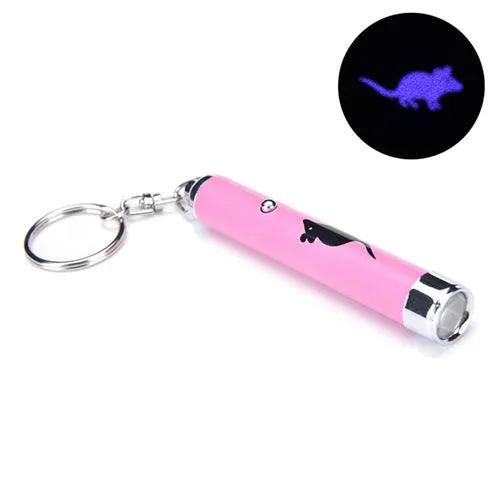 LED Cat Pointer Toy