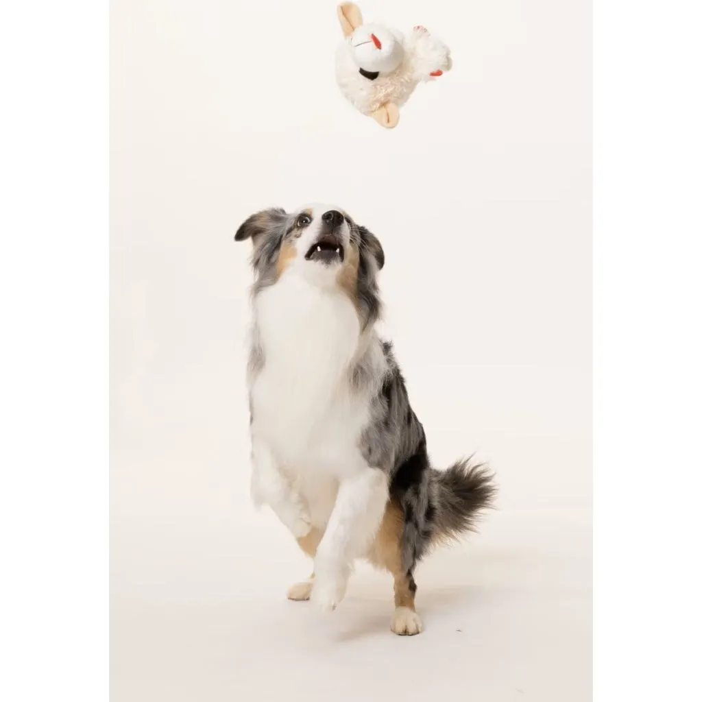 Multipet Lamb Chop Knobby Noggins Plush Squeaky Dog Toy Assorted 5"