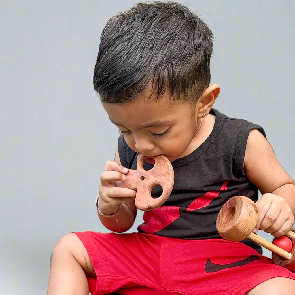 Neem Wood Teether- Bird