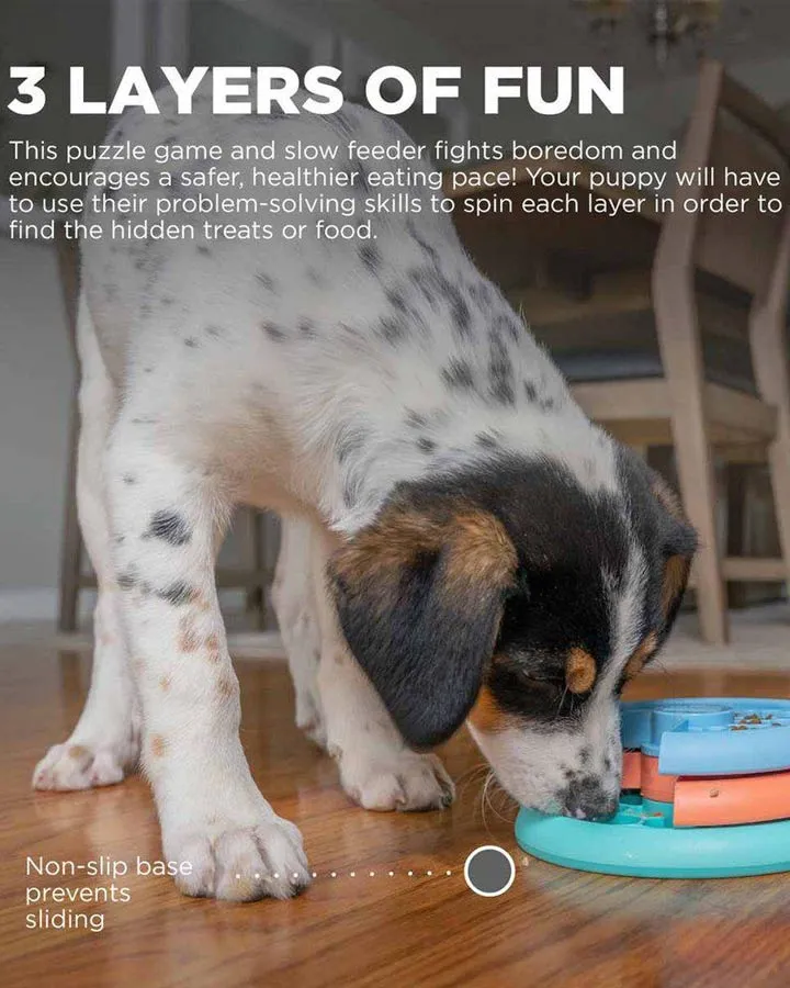 Puppy Lickin' Layers - Activity Game