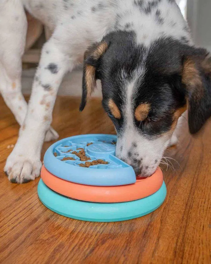 Puppy Lickin' Layers - Activity Game