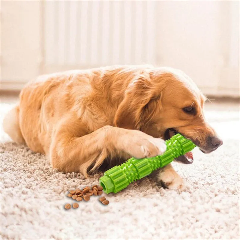 Snack Training Nibble Toy